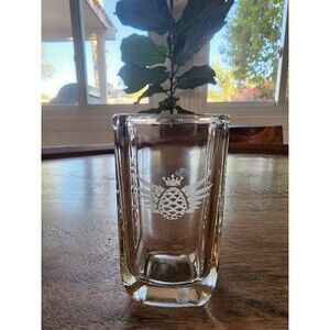 Avion Tequila Square Shot Glass | Etched Fying Agave | Embossed Avión Logo